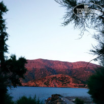 фото из отзыва ID 1975736