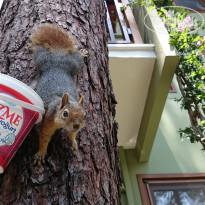 фото из отзыва ID 1975662