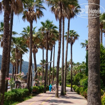 фото из отзыва ID 1975662