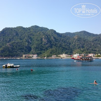 фото из отзыва ID 1975662