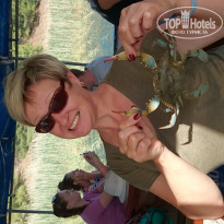 фото из отзыва ID 1975662