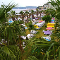 фото из отзыва ID 1975907