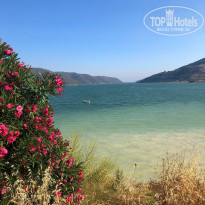 фото из отзыва ID 1975939