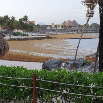 фото из отзыва ID 1974117