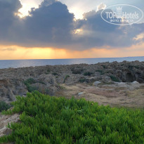 фото из отзыва ID 1975939