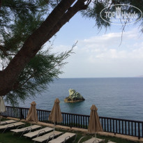 фото из отзыва ID 1975980