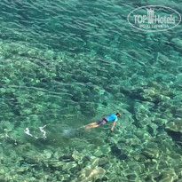 фото из отзыва ID 1975980