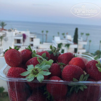 фото из отзыва ID 1974050