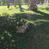 фото из отзыва ID 1976126