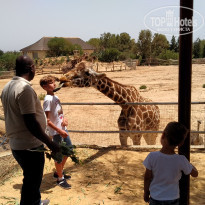 фото из отзыва ID 1975890