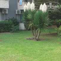 фото из отзыва ID 1976085