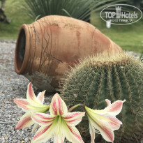 фото из отзыва ID 1976208