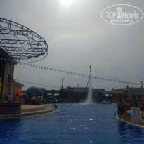 фото из отзыва ID 1974497