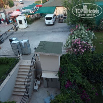 фото из отзыва ID 1976255