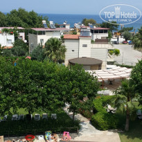 фото из отзыва ID 1975168