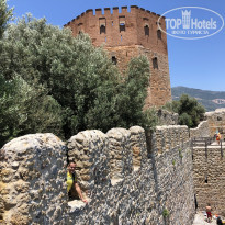 фото из отзыва ID 1976365