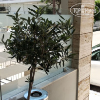 фото из отзыва ID 1976391