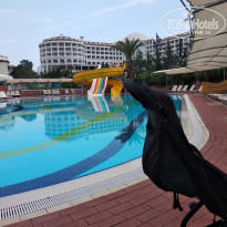 фото из отзыва ID 1976437