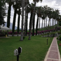 фото из отзыва ID 1976431