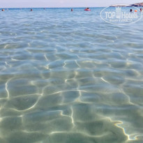 фото из отзыва ID 1976586