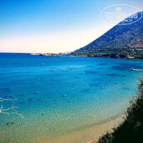 фото из отзыва ID 1976586