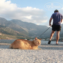 фото из отзыва ID 1976586