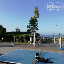 фото из отзыва ID 1976753