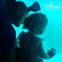 фото из отзыва ID 1976528