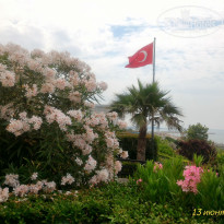 фото из отзыва ID 1976794