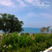 фото из отзыва ID 1976794