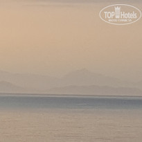 фото из отзыва ID 1976928