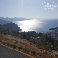 фото из отзыва ID 1976928