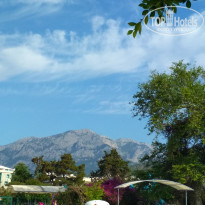 фото из отзыва ID 1976935