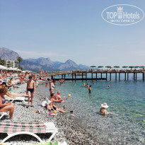 фото из отзыва ID 1977000