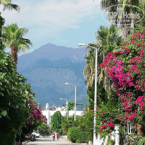 фото из отзыва ID 1977000