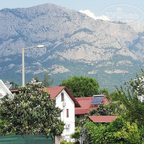 фото из отзыва ID 1977000