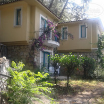 фото из отзыва ID 1976474