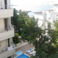 фото из отзыва ID 1977125