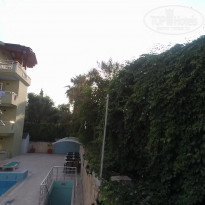 фото из отзыва ID 1977227