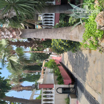 фото из отзыва ID 1977261