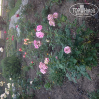 фото из отзыва ID 1977250