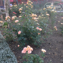 фото из отзыва ID 1977250