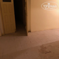 фото из отзыва ID 1977317