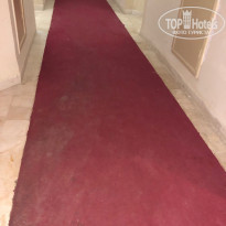 фото из отзыва ID 1977317