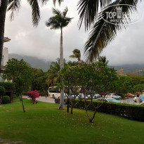 фото из отзыва ID 1976968