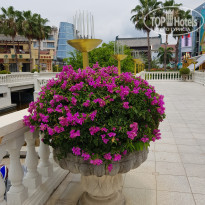 фото из отзыва ID 1976968