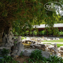 фото из отзыва ID 1976968