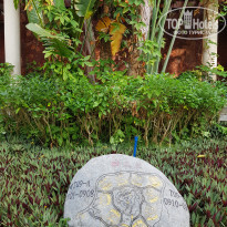 фото из отзыва ID 1976968