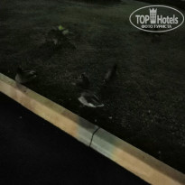 фото из отзыва ID 1977343