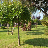 фото из отзыва ID 1977383